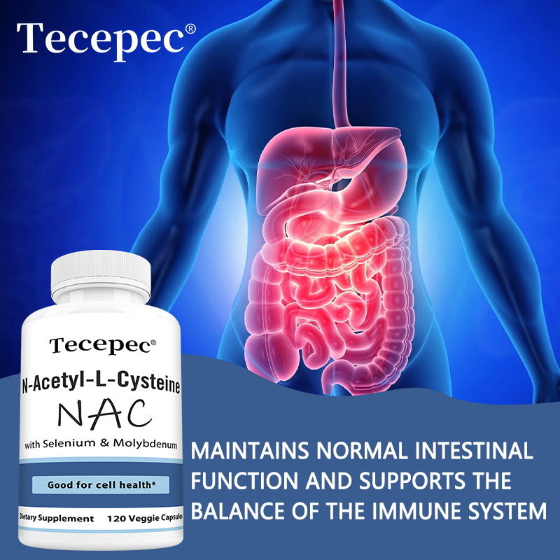 NAC Capsules – Antioxidant, Su - đánh giá và giá Nac N Acetyl Cysteine