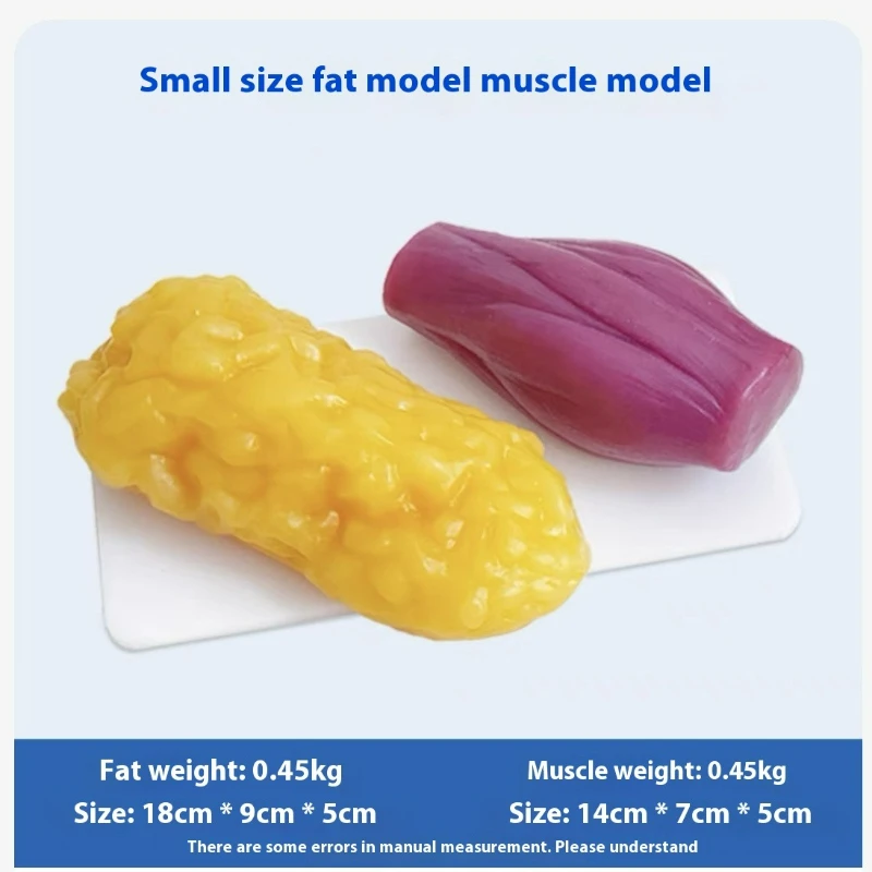 Human Muscle and Fat Replicas  - đánh giá và giá Nutrition For Health Fitness & Sport Melvin Williams